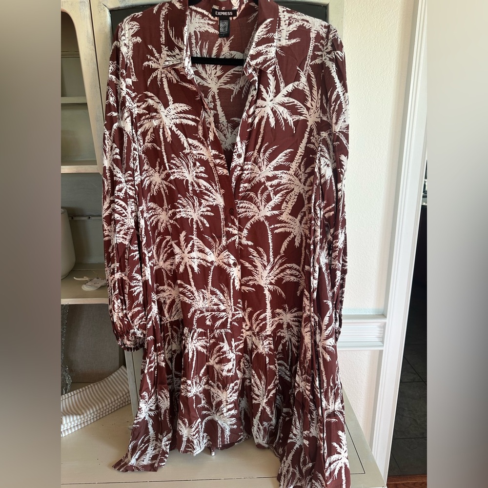 NWT Express dress